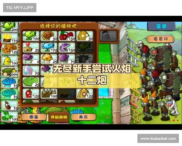 火焰炮攻略 火焰炮攻略