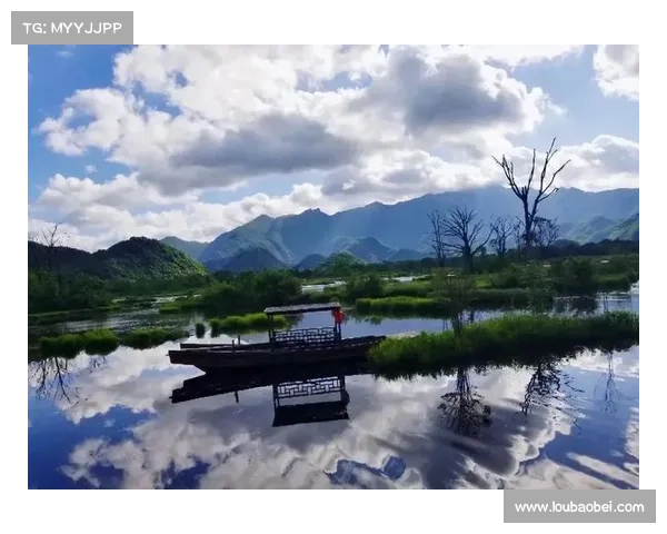 踏入仙境,开启奇幻之旅 踏入仙境,开启奇幻之旅