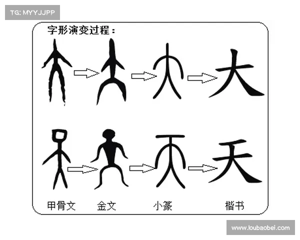 辐射演化为简体中文字的奥秘解析 辐射演化为简体中文字的奥秘解析