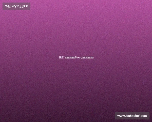 BREC国际电子竞技大赛Moon,国际电子竞技联合会